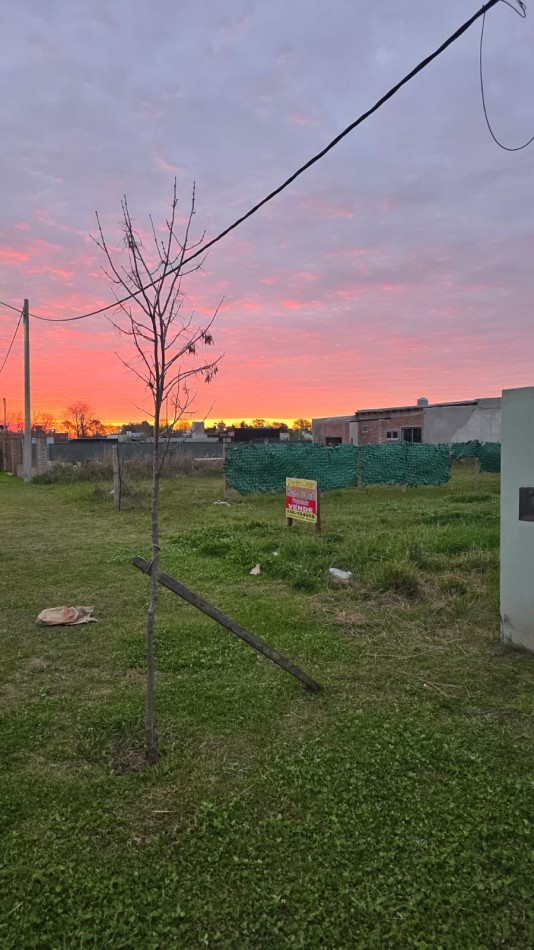 VENTA LOTE FINCAS DE IBARLUCEA - CALLE No 7